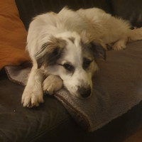 /album/198/whatsapp-image-2025-12-05-at-20-45-15-jpeg/